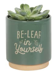 Green Be-Leaf In Yourself Plant Pot product image