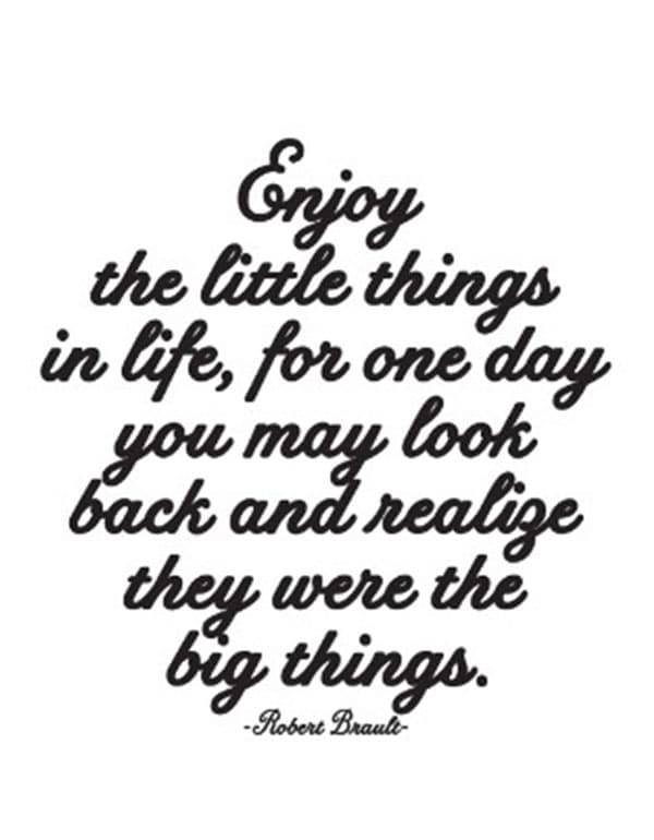 Quotable Magnets - "Enjoy the little things"