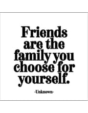 Quotable Magnets - "Friends are the family you choose" product image