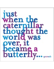 Quotable Magnets - "Caterpillar" product image