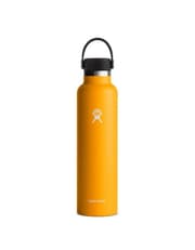 Hydro Flask 24 Oz Standard Flex Cap Starfish product image