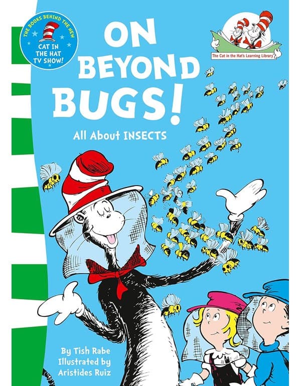 On Beyond Bugs