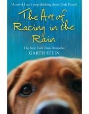 The Art of Racing in the Rain product image
