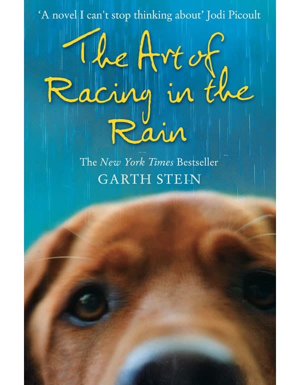 The Art of Racing in the Rain