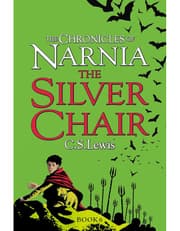 The Silver Chair product image