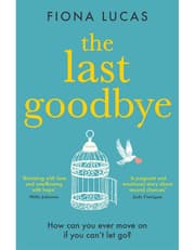 The Last Goodbye product image