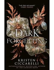 Dark Forgetting product image