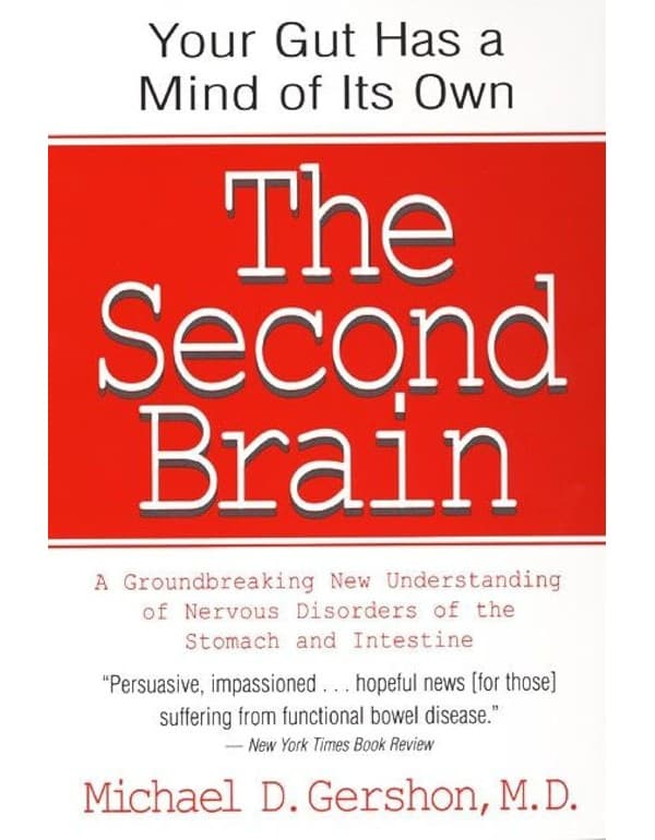 Second Brain