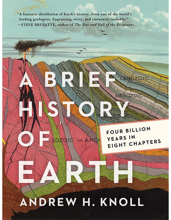 A Brief History of Earth
