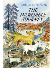 The Incredible Journey product image