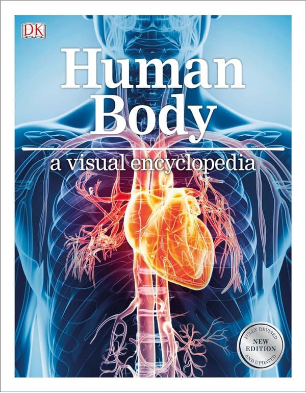 Human Body A Children's Encyclopedia