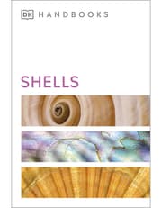 Shells product image