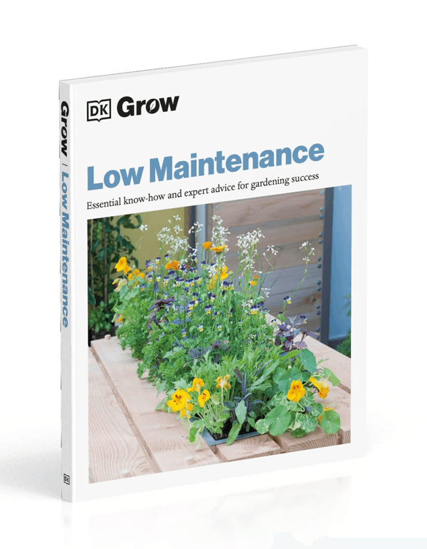 Grow Low Maintenance: Essential Know-how and Expert Advice for Gardening Success