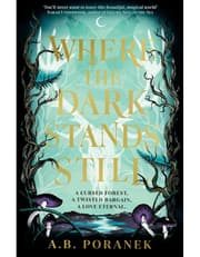 Where the Dark Stands Still product image