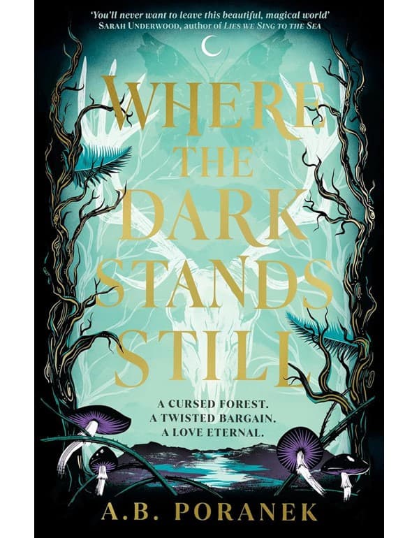 Where the Dark Stands Still