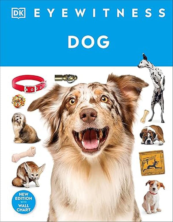 Eyewitness Dog