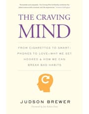 The Craving Mind product image