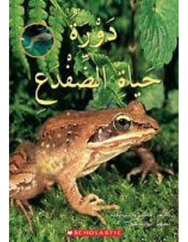 دورة حياة الضفدع