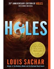 Holes product image