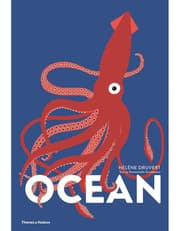 Ocean product image