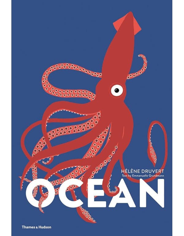 Ocean