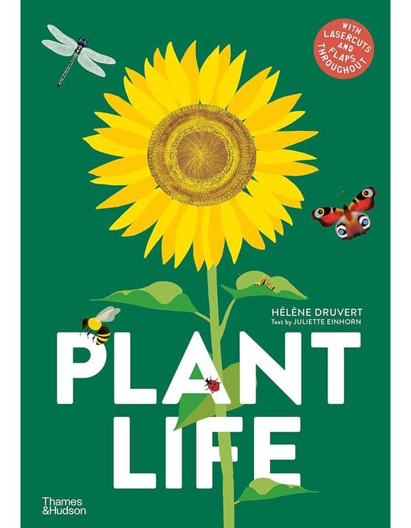 Plant Life