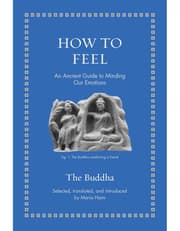 How to Feel: An Ancient Guide to Minding Our Emotions product image