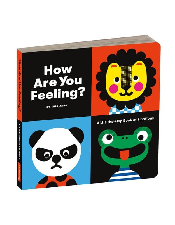 How Are You Feeling Board Book