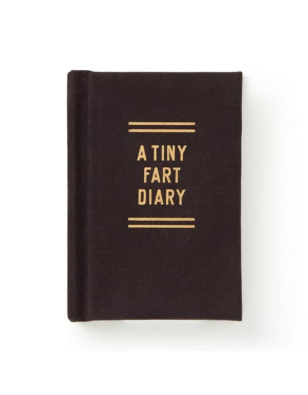 Tiny Fart Diary