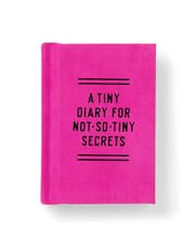 Tiny Diary for Not So Tiny Secrets product image
