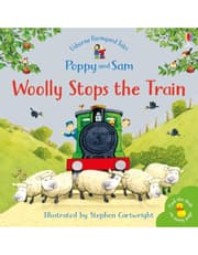 Woolly Stops The Train product image