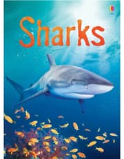 Sharks product image