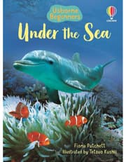 Under the Sea product image