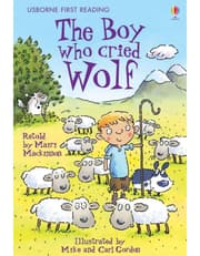 The Boy who cried Wolf product image
