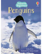 Penguins product image