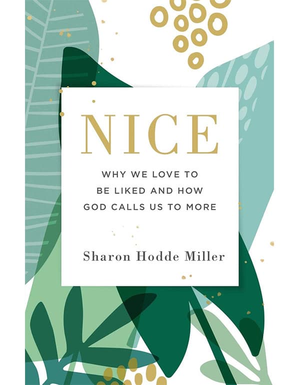 Nice – Why We Love to Be Liked and How God Calls Us to More
