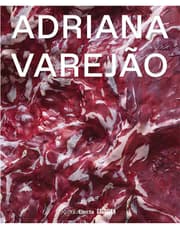 Adriana Varejão product image