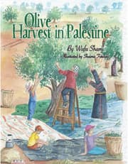 Olive Harvest In Palestine product image