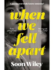When We Fell Apart product image
