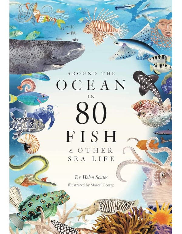 Around the Ocean in 80 Fish and other Sea Life