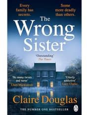 The Wrong Sister product image