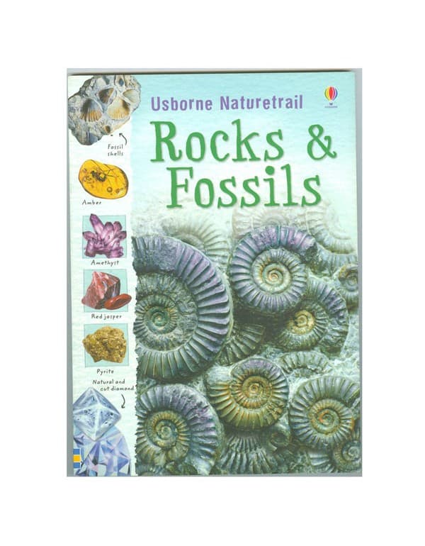 Rocks And Fossils