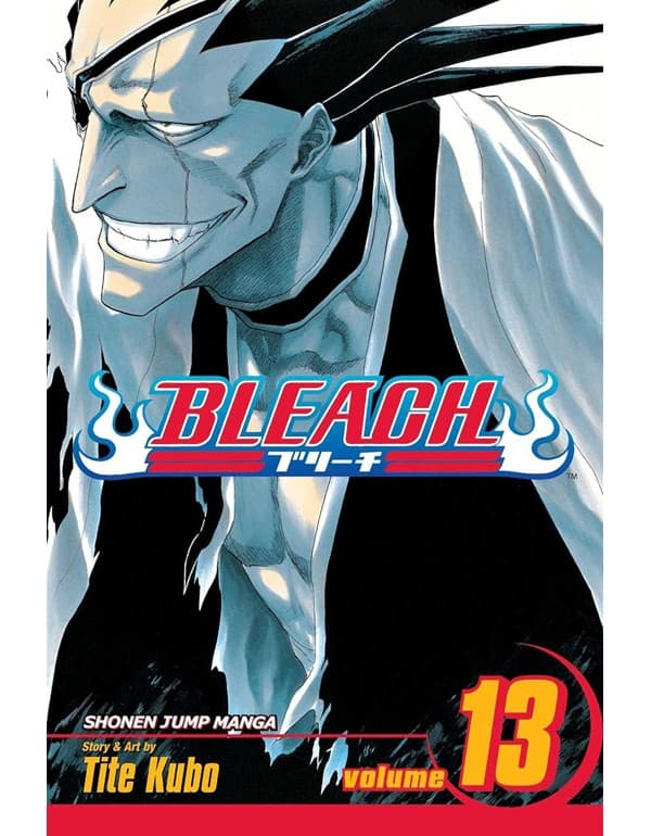 Bleach, Vol. 13: The Undead