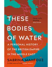 These Bodies of Water product image