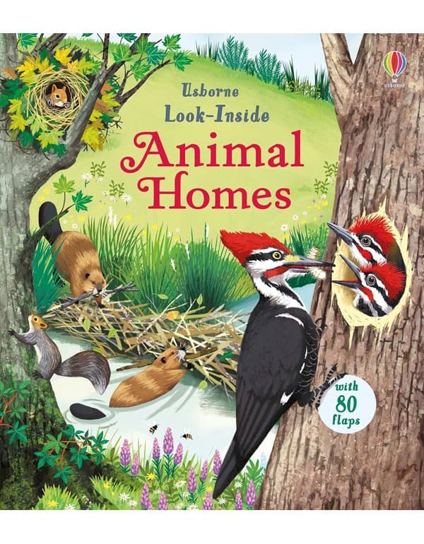 Look Inside Animal Homes