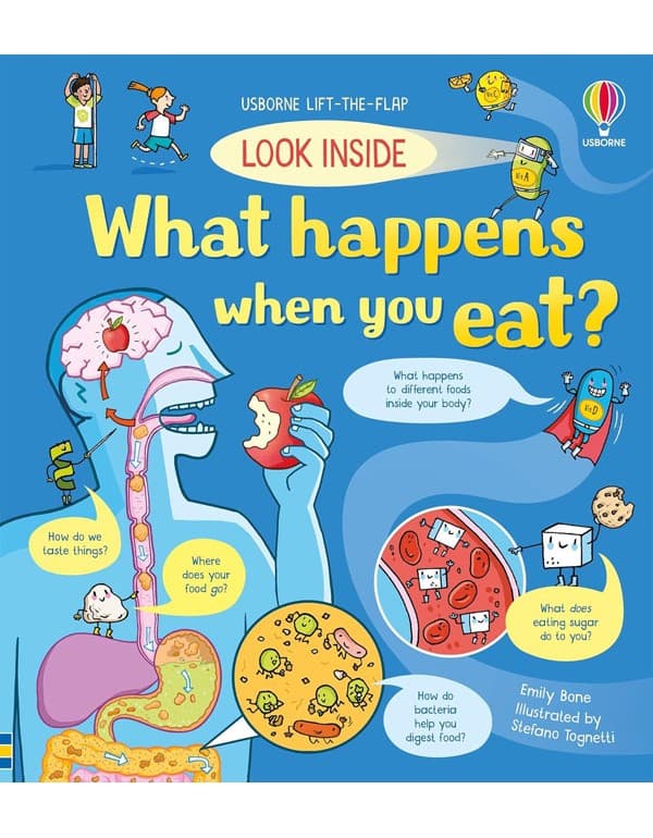Look Inside What Happens When You Eat