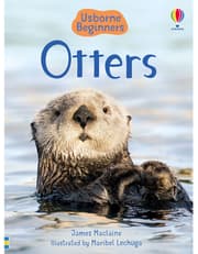 Otters product image