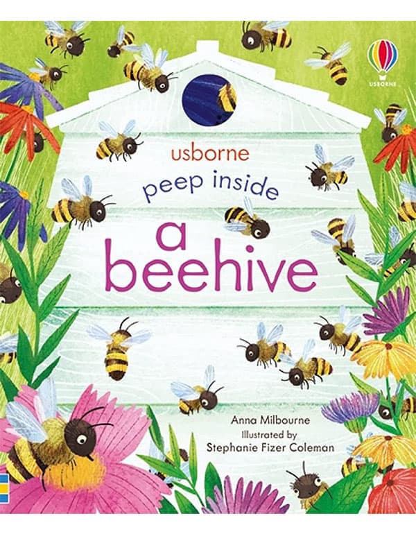 Peep Inside a Beehive