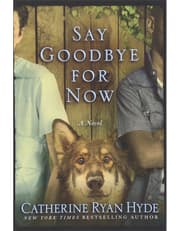 Say Goodbye for Now product image