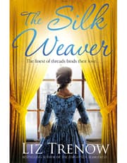 The Silk Weaver product image